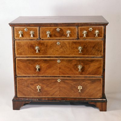 Chest of Drawers by English School